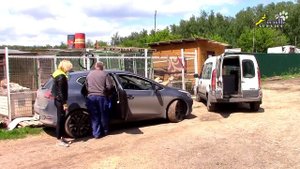 Перевозка животных