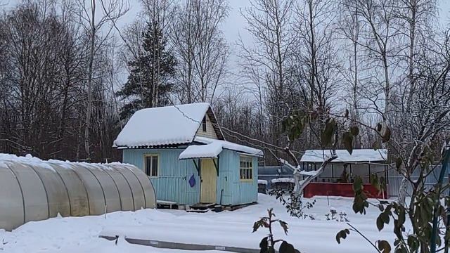 11 декабря 2022 года. Приехали на дачу.