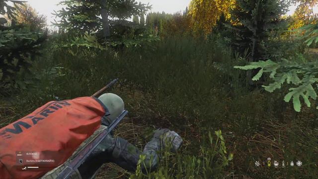 DayZ, как выжить в DayZ новичку, как пить воду что б не вырвало DayZ консоле, DayZ console, DayZ ps