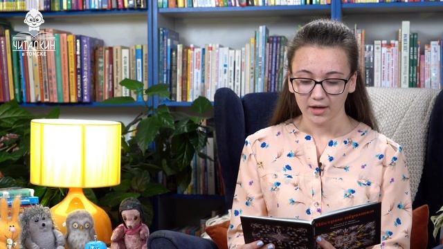 "Зернышко". Татьяна Мейко. Читает Арина Конева.