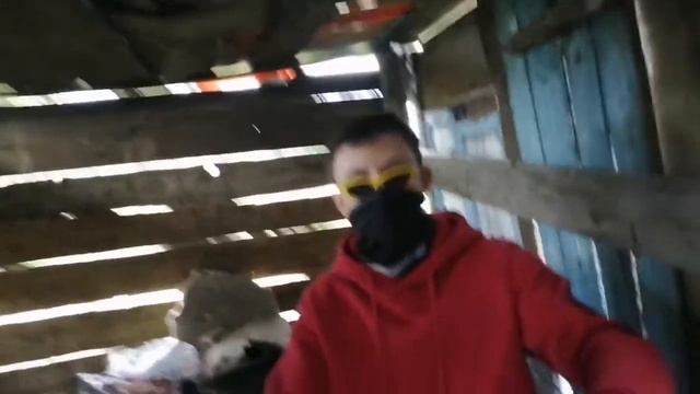 Золотой крест Орго за 999 рублей + подарок / маркетинг смотреть онлайн