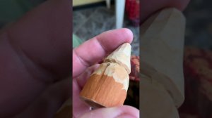 Духовой Манок на Вальдшнепа своими руками--ссылка работы манка на тяге смотрите  в описании!