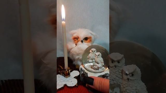 Магия исполнения желаний. Ведана Лада