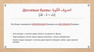 Важный урок| #Произношение трех Арабских букв с примерами| Десневые Буквы#арабский #произношение