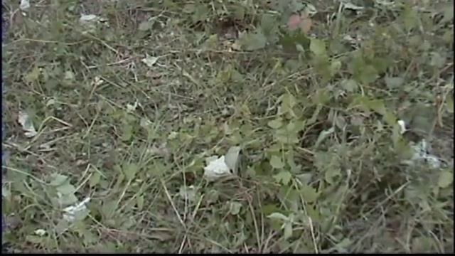 последний самурай смотреть онлайн