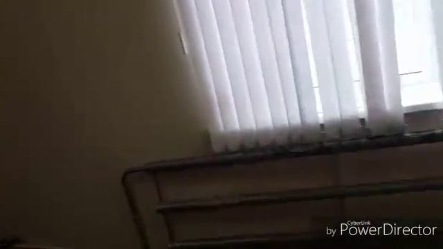 Офисные работники смотреть онлайн