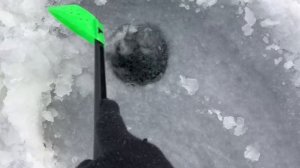 Ловля судака на бокоплав "ОСА"