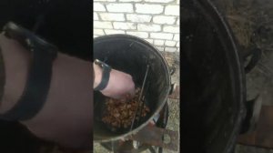 КОПТИЛЬНЯ ИЗ ВЕДРА ЗА 15 МИН