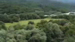 Guest House Alta Rio Хамышки