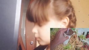 Реакция на безумного повара