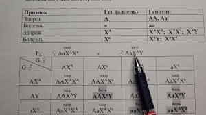Генетика. Задачи. Часть 14. Один признак - два типа наследования. Расщепление по фенотипу 9:7.