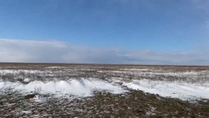 Один день из жизни чабана. Калмыцкая степь.