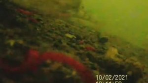 Камера Калипсо глубина +7м