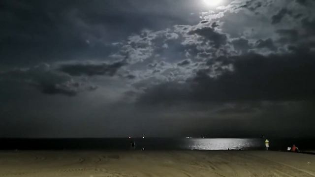 Лунная соната. смотреть онлайн