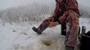 Отличная вечерняя рыбалочка на реке Сухона...