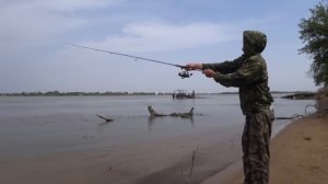 Ход Каспийской Селёдки в Астрахани. Рыбалка для души