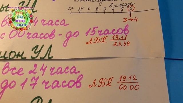 Календарь посева семян сладкого перца и баклажанов на рассаду на март 2021  года. Агрогороскоп