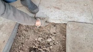 Бордюрные плиты для теплицы.