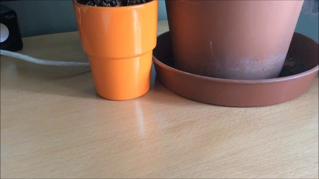 покупки (Декабрь 2017) смотреть онлайн