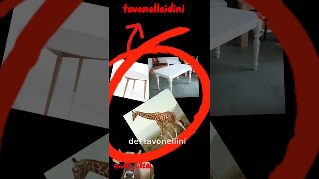 esistono vari tipi di tavoli #tavoli #meme #divertente