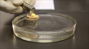 Парамагнетики, диамагнетики и неодимовый магнит/Paramagnetic and diamagnetic