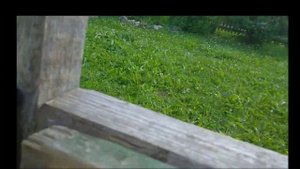 Обзор на мою машину из дерева.# Машина из дерева 1.