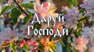 Многолетие? Многая лета? #глас