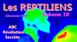 VIDEO INTERDITE N°18 – Les  Reptiliens et les Témoignages