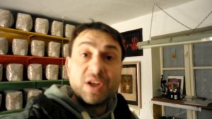 Планировка лаборатории funnymushroomschool для производства мицелия fms# 806