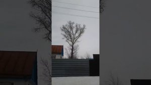 ДЕД МОРОЗ ПЛАЧЕТ!