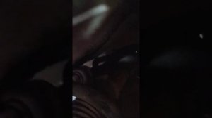 Замена втулок стабилизатора Renault Kangaroo