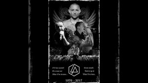 Chester Bennington  - You are the reason