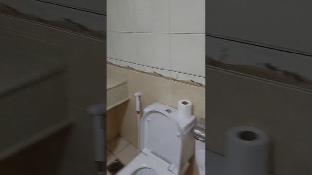 Обзор отеля Crystal Plaza 2*.Шарджа. смотреть онлайн