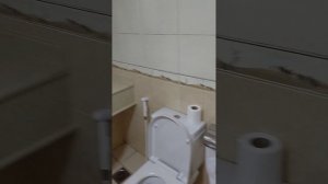 Обзор отеля Crystal Plaza 2*.Шарджа.