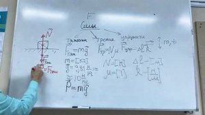 Сила трения, Сила тяжести, Сила упругости, Вес тела