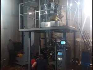 Фасовочно упаковочный комплекс на базе мультиголовочного дозатора