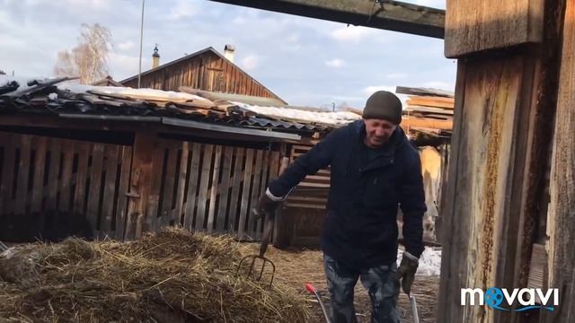 Фрося затаилась//Мой комментарий по вопросу раздоя козы// смотреть онлайн