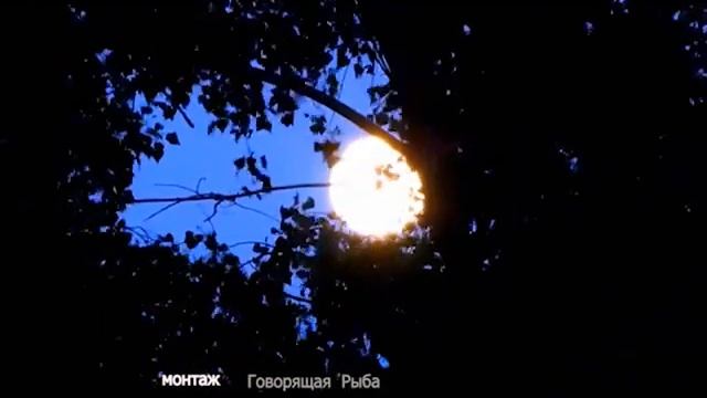 Песня о доверии. Разговор двух влюбленных. смотреть онлайн