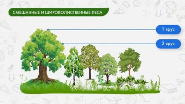 Природные зоны Земли