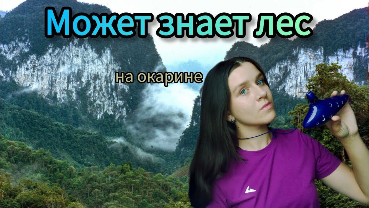 "Может знает лес" - Любэ на окарине смотреть онлайн