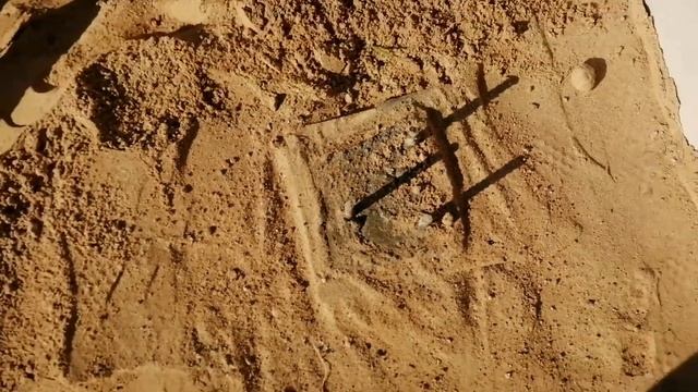 Бетонное крыльцо с круглыми ступенями. Все этапы строительства.