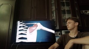 Анатомия и биомеханика/ротаторная манжета плеча.