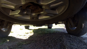 Ховер Н5 ехал с охоты поставил камеру под машину и потерял