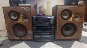 Обзор колонок 25АСА-11