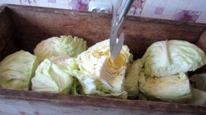 БАБУШКИН РЕЦЕПТ КВАШЕНОЙ КАПУСТЫ ПО ДЕРЕВЕНСКИ, РУБКА В КОРЫТЕ СИЧКОЙ