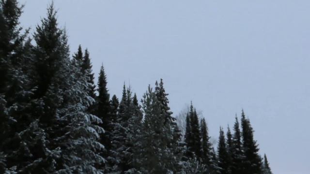 №2847 06 12 2022 Утро сорок смотреть онлайн