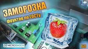 Акустическая заморозка. Экскурсия в лабораторию AEF. Тест заморозки черешни и винограда.