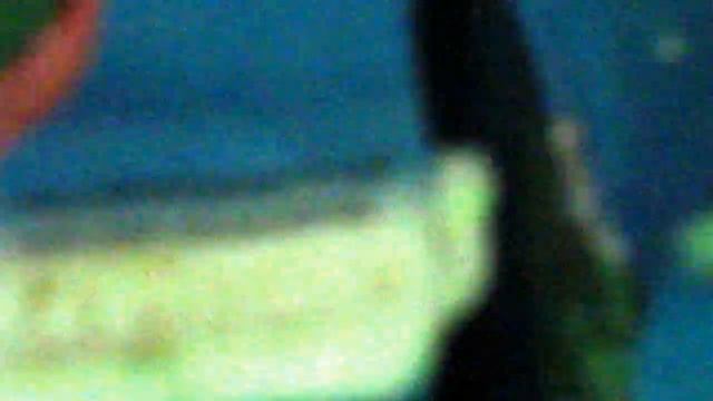 Склад ООО ДЕП смотреть онлайн