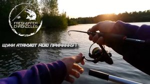 ЛОВЛЯ ЩУКИ НА СПИННИНГ НА СТАРЫХ ПЕСЧАНЫХ КАРЬЕРАХ! #рыбалка #fishing #спиннинг #spinning