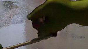 Шрек Переехал в Россию (ремейк)